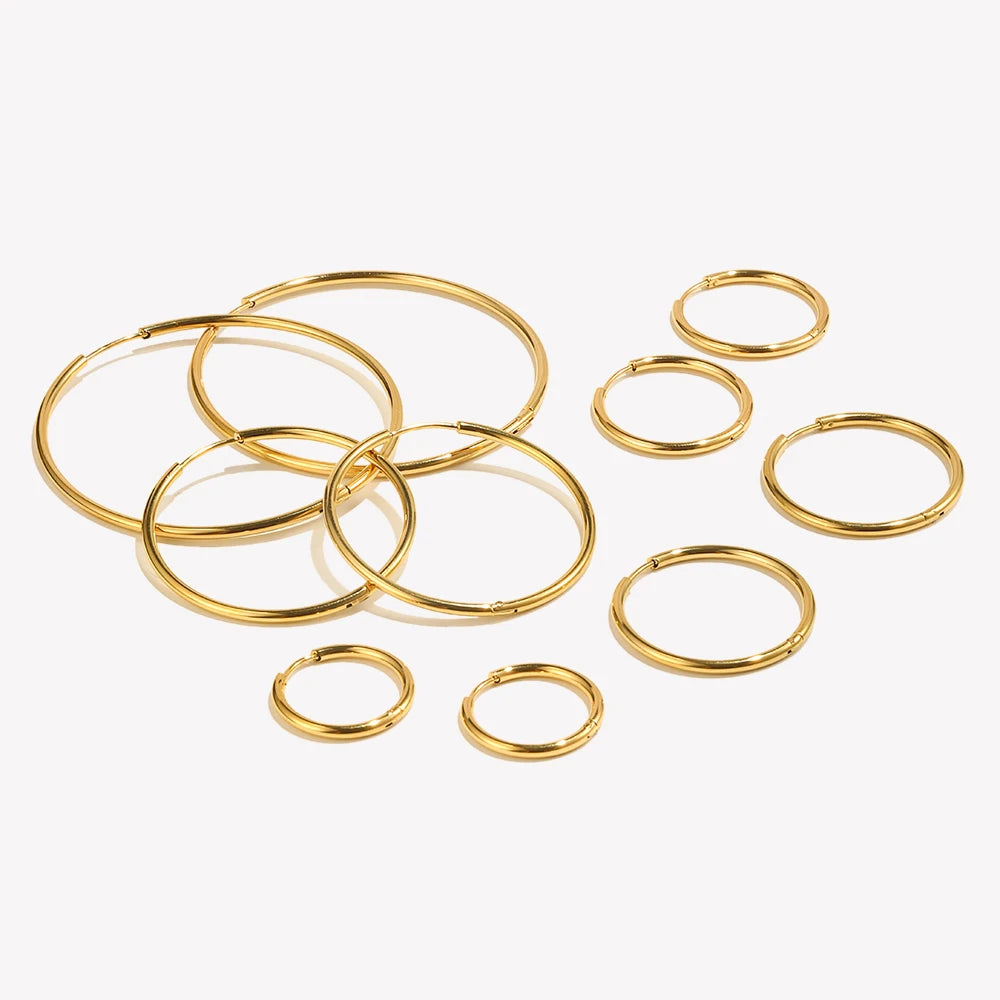 Classic Loop Hoop Earrings