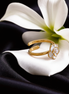 Adjustable  Pearl Enamel Flower Ring
